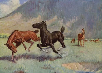Smoky the Cow Horse